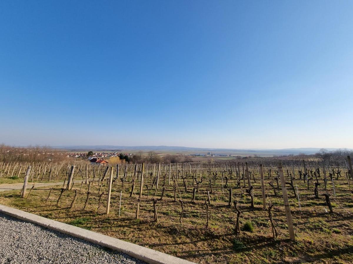Kuca Za Odmor Baron Villa Kutjevo Eksteriør bilde