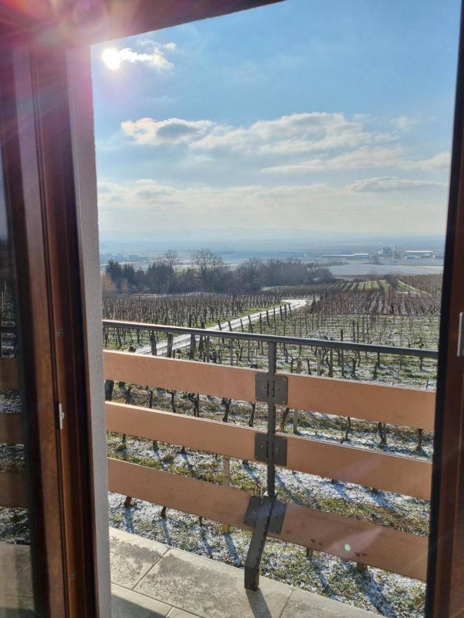 Kuca Za Odmor Baron Villa Kutjevo Eksteriør bilde