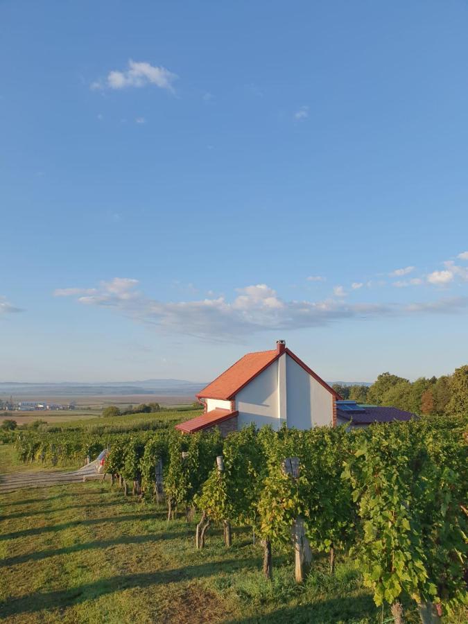 Kuca Za Odmor Baron Villa Kutjevo Eksteriør bilde